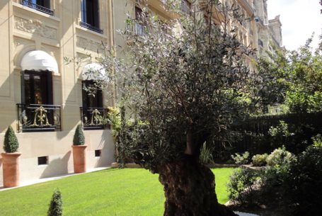 UNE SUBTILE EXTENSION ET RENOVATION D’UN HOTEL PARTICULIER PARIS